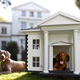 Illustration for article titled Mansions and Fine Art Made Especially for Cats and Dogs